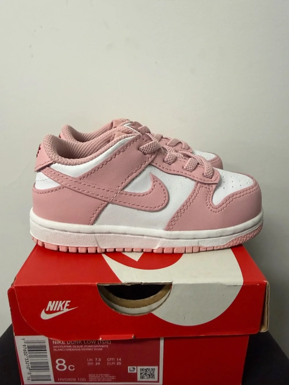 Toddler Nike Dunk Low
